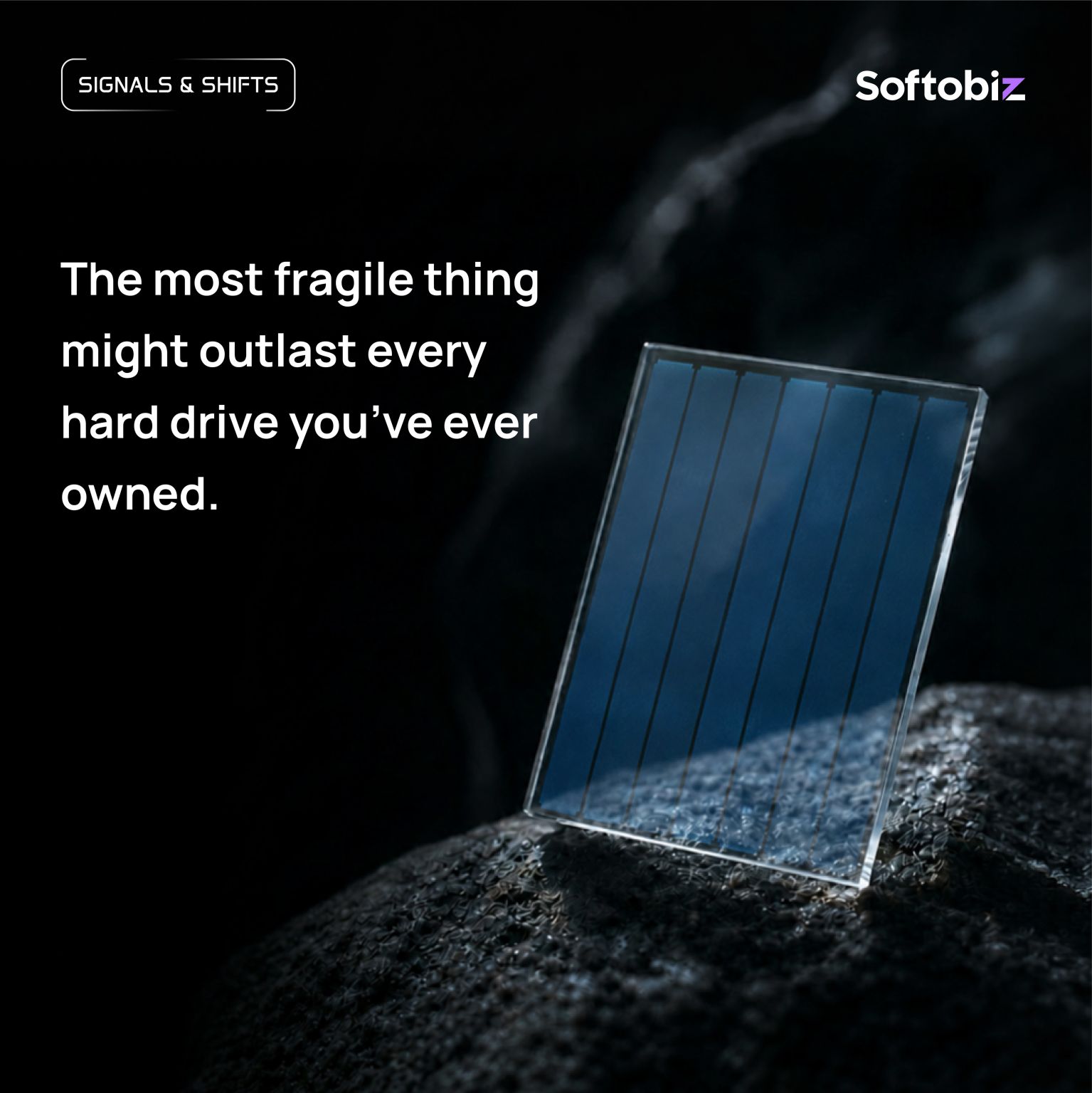 Softobiz — Signals & Shifts, glass storage